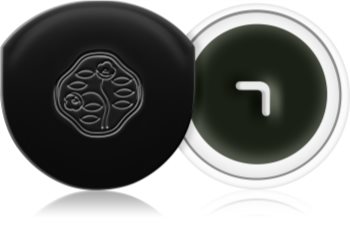 Shiseido Eyes Instroke Eyeliner gelové oční linky s aplikátorem