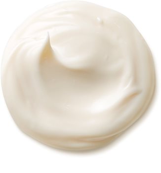 Shiseido Benefiance WrinkleResist24 Day Cream SPF15 Tagescreme gegen Falten LSF 15