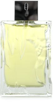 Sisley Eau D´Ikar toaletná voda pre mužov 100 ml