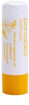 Sylveco Lip Care Lippenbalsam mit Peelingeffekt