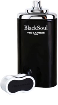 Ted Lapidus Black Soul toaletní voda pro muže 100 ml
