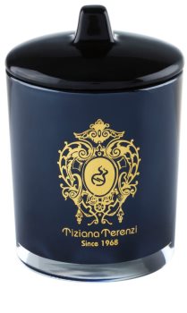 Tiziana Terenzi Ebony & Teck vela perfumada pequeño con tapa