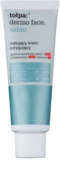 Tołpa Dermo Face Sebio Matting Day Cream for Oily Skin
