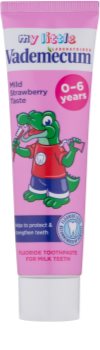 Vademecum Junior Toothpaste for First Teeth With Strawberry Flavour
