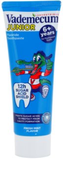 Vademecum Junior dentifrice pour enfant saveur menthe