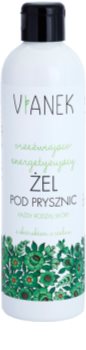 Vianek Energizing gel de dus revigorant cu efect de hidratare