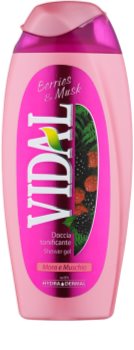 Vidal Berries & Musk Shower Gel for Women 250 ml