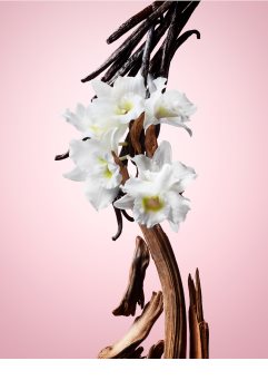 Viktor & Rolf Flowerbomb eau de parfum pentru femei 100 ml