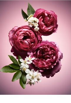 Viktor & Rolf Flowerbomb Nectar parfémovaná voda pro ženy 90 ml