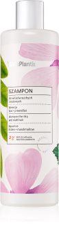 Vis Plantis Herbal Vital Care Liquorice šampon za suhe lase in lase brez sijaja