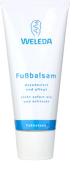 Weleda Family set cosmetice I.