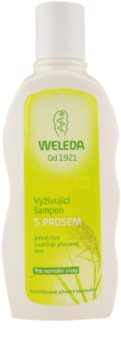 Weleda Hair Care champô nutritivo com panicum para cabelo normal