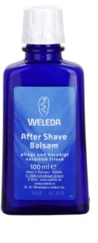 Weleda Men bálsamo after shave