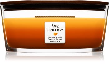 Woodwick Autumn Comforts Scented Candle 453,6 g Hearthwick