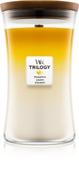 Woodwick Trilogy Fruits of Summer Duftkerze 609,5 g große