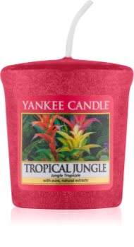 Yankee Candle Tropical Jungle Votiefkaarsen 49 gr