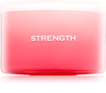 Yankee Candle Making Memories Strength świeczka zapachowa 510 g