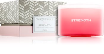 Yankee Candle Making Memories Strength candela profumata 510 g