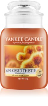 Yankee Candle Sun-Kissed Thistle vonná svíčka 623 g Classic velká