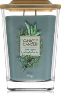 Yankee Candle Elevation Coastal Cypress lumânare parfumată 552 g mare