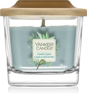 Yankee Candle Elevation Coastal Cypress vonná svíčka malá