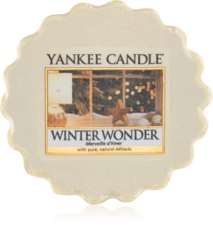 Yankee Candle Winter Wonder tartelette en cire 22 g