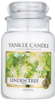 Yankee Candle Linden Tree Duftkerze 623 g Classic groß