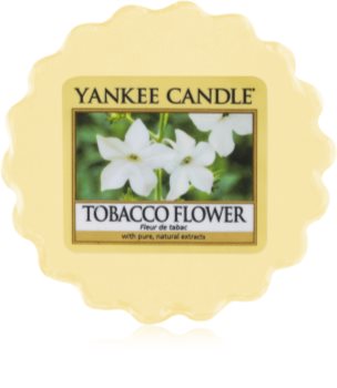 Yankee Candle Tobacco Flower Wachs für Aromalampen 22 g