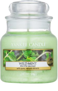 Yankee Candle Wild Mint lumânare parfumată 104 g Clasic mini