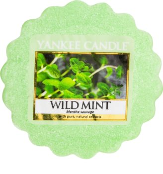 Yankee Candle Wild Mint vosk do aromalampy 22 g