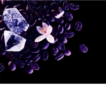 Yves Saint Laurent Black Opium Nuit Blanche parfémovaná voda pro ženy 90 ml
