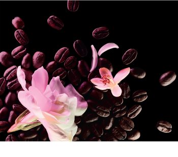Yves Saint Laurent Black Opium Floral Shock eau de parfum para mujer 50 ml