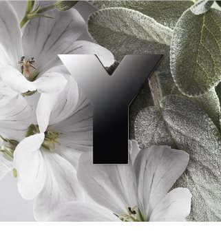 Yves Saint Laurent Y Eau de Parfum voor Mannen 100 ml