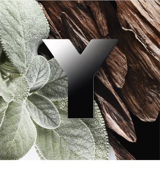 Yves Saint Laurent Y Eau de Parfum voor Mannen 100 ml