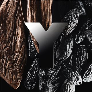 Yves Saint Laurent Y Eau de Parfum voor Mannen 100 ml