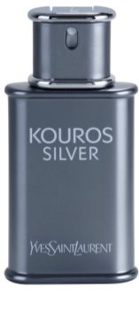 Yves Saint Laurent Kouros Silver toaletná voda pre mužov 50 ml