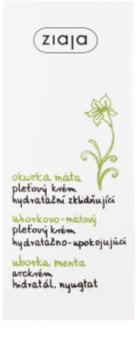 Ziaja Cucumber Hautcreme mit feuchtigkeitsspendender Wirkung