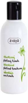 Ziaja Cucumber Reinigungstonikum für fettige und Mischhaut