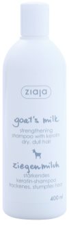 Ziaja Goat's Milk stärkendes Shampoo für trockenes und beschädigtes Haar