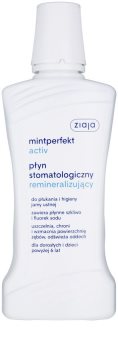 Ziaja Mintperfekt Activ płyn stomatologiczny remineralizujący