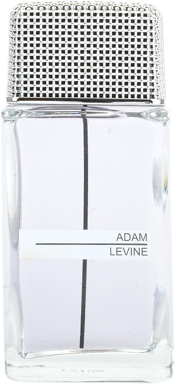 Adam Levine Men toaletna voda za moške 100 ml