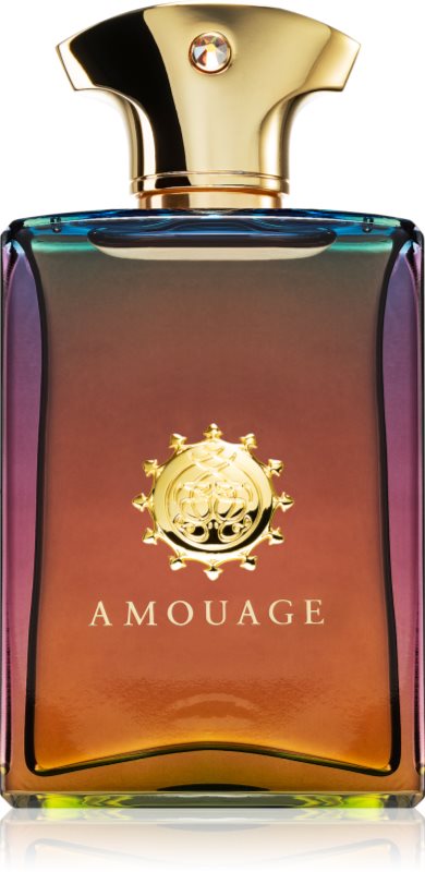 Amouage Imitation Eau de Parfum voor Mannen 100 ml