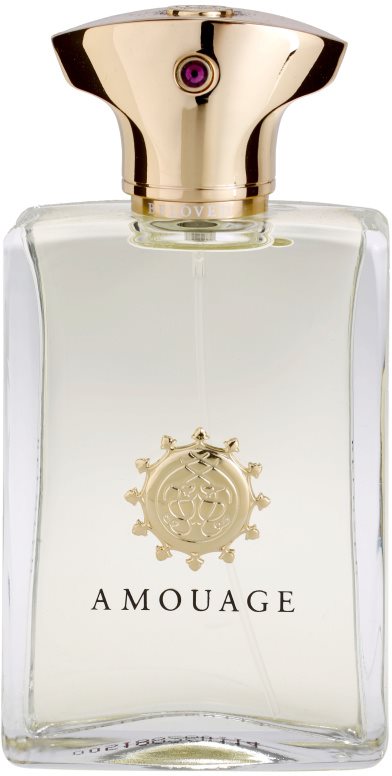Amouage Beloved Men parfumska voda za moške 100 ml