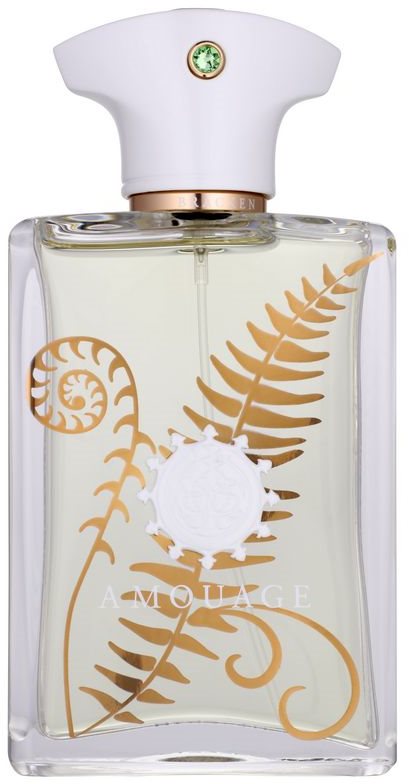 Amouage Bracken parfémovaná voda pro muže 100 ml