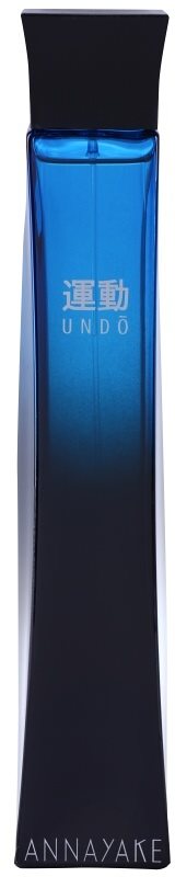 Annayake Undo Pour Homme woda toaletowa tester dla mężczyzn 100 ml