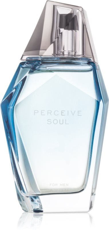 Avon Perceive Soul Eau de Toilette for Men 100 ml