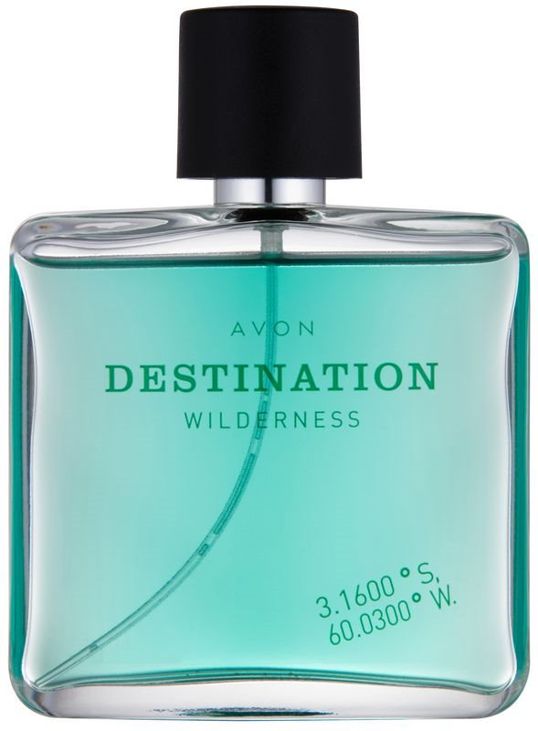 Avon Destination Wilderness Eau de Toilette voor Mannen 75 ml