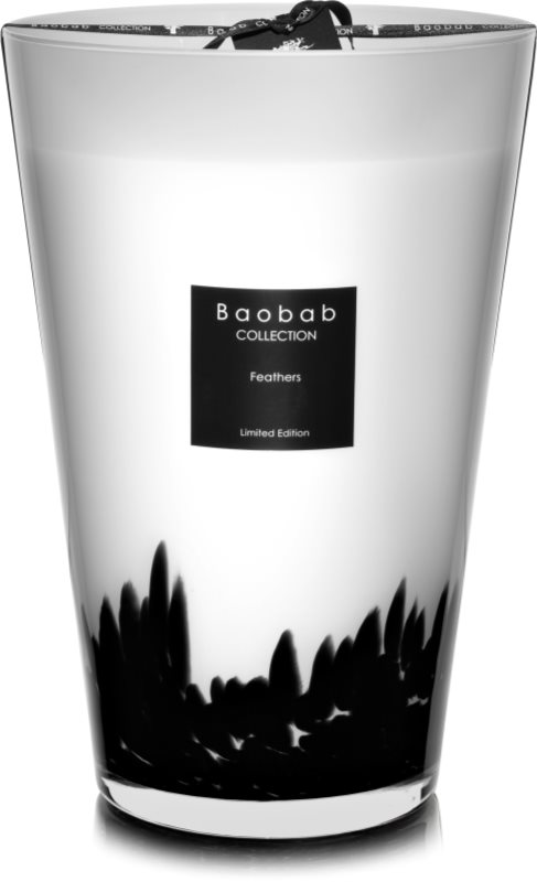 Baobab Feathers bougie parfumée 35 cm