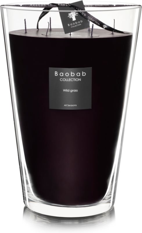 Baobab Wild Grass Geurkaars 35 cm