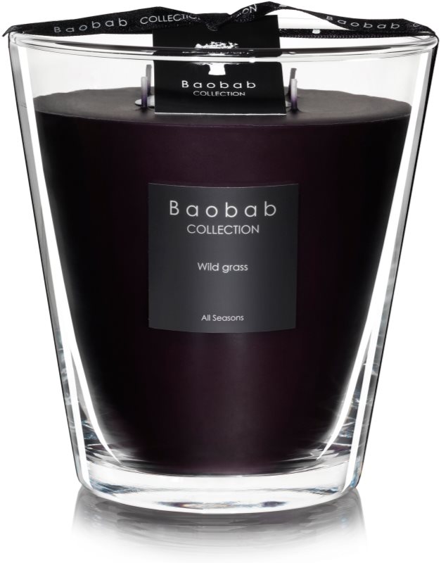 Baobab Wild Grass ароматизована свічка 16 см